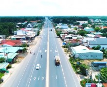 Bình Phước to Auction Nearly 100 Plots of Land, Starting from 1.3 Billion VND