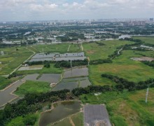 New Regulations on Agricultural Land Use in Ho Chi Minh City