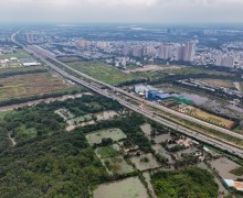 Delegating Authority to the Ho Chi Minh City Department of Construction: Promoting Real Estate Market Development