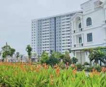 Towards a Class-3 City: Strategic Transformation of Binh Chanh